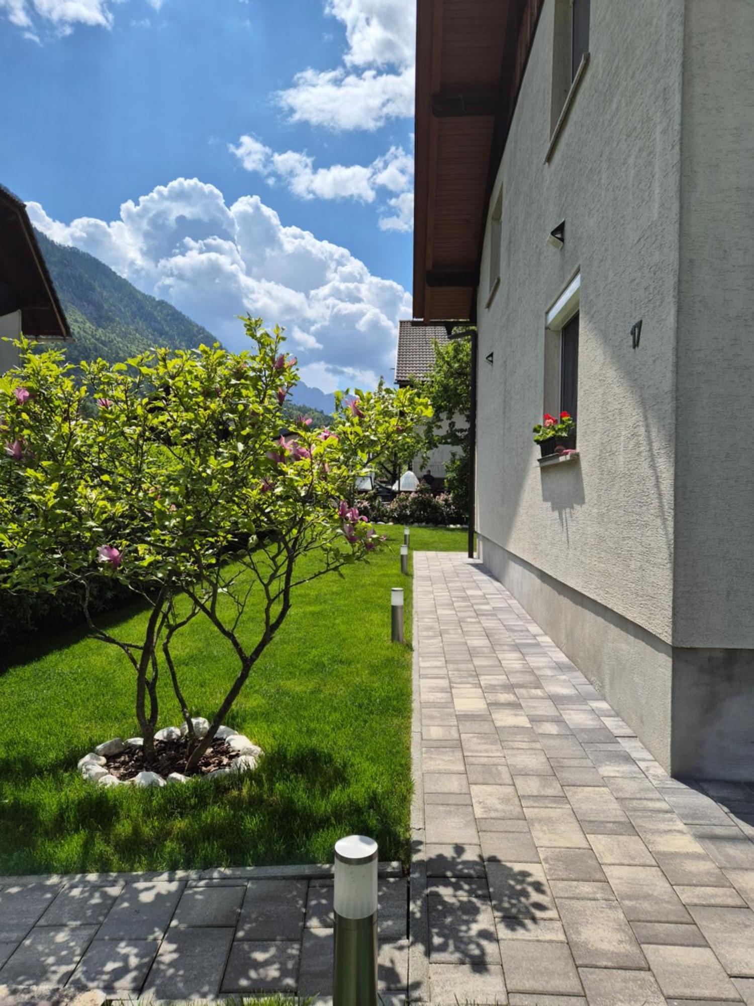 Petra * Mojstrana