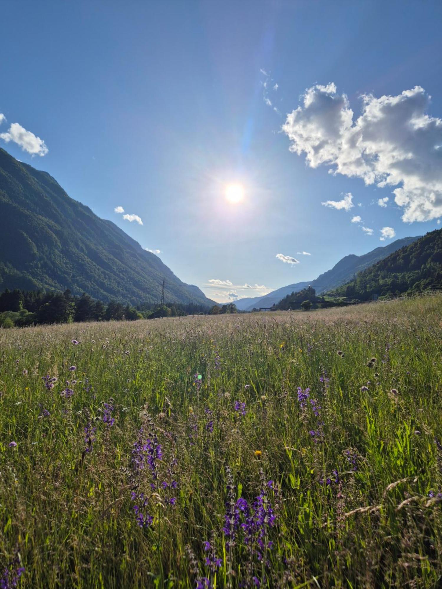 Petra * Mojstrana